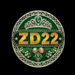 zd22-game