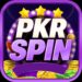 pkrspin game